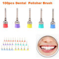 New Dental Colourful Prophy  Flat Polishing Nylon  Brushes